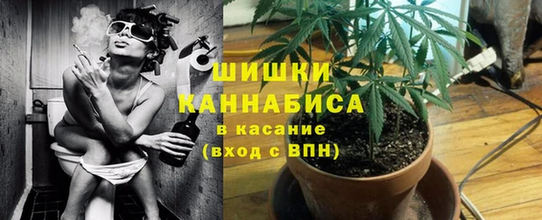крисы Куйбышев