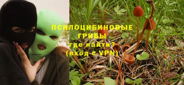 крисы Куйбышев