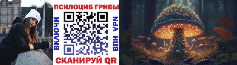 Псилоцибиновые грибы MAGIC MUSHROOMS  Купить закладки  Дубна 